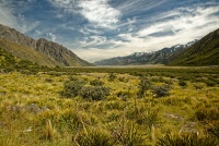 NZ Mt Cook 0978